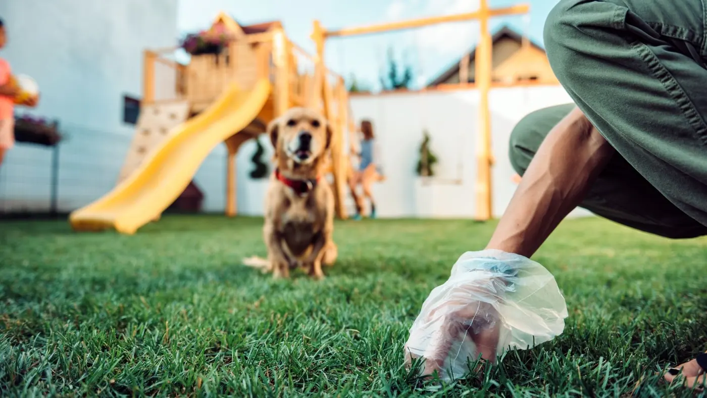 Dog Waste Cleanup in Palmdale CA